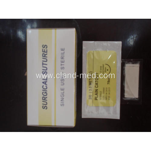 Absorbable Plain Catgut Surgical Sutures With Needle